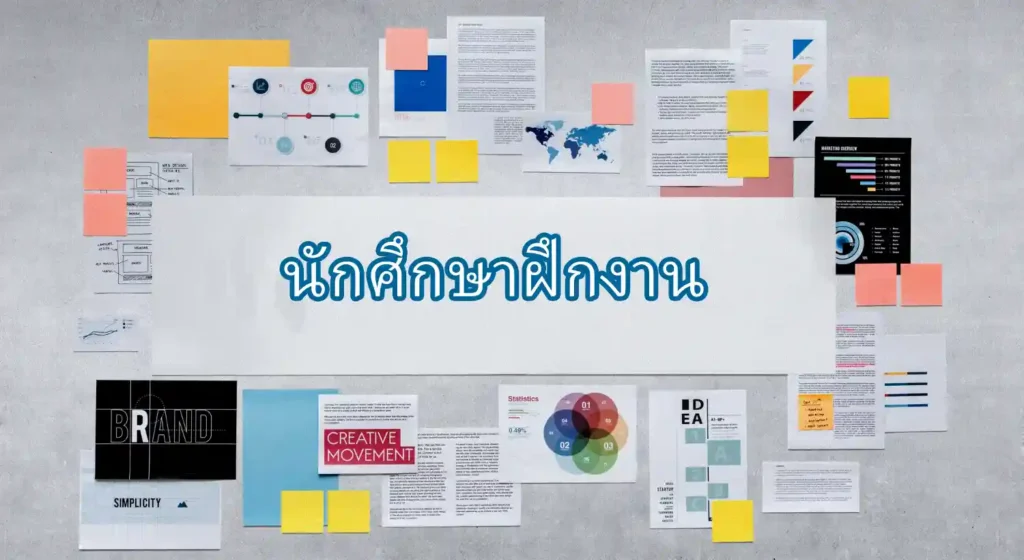 นักศึกษาฝึกงาน