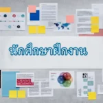 นักศึกษาฝึกงาน