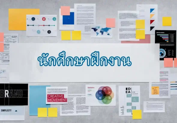 นักศึกษาฝึกงาน